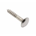 Mirror Screws