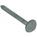 Galvanised Nails