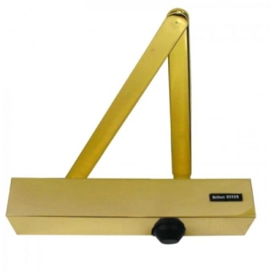 Polished Brass Briton Door Closer