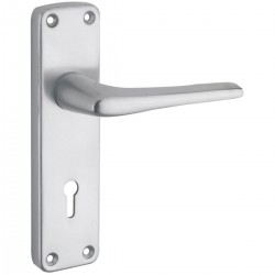 Zoo Hardware SAA Contract Door Handle on Backplate