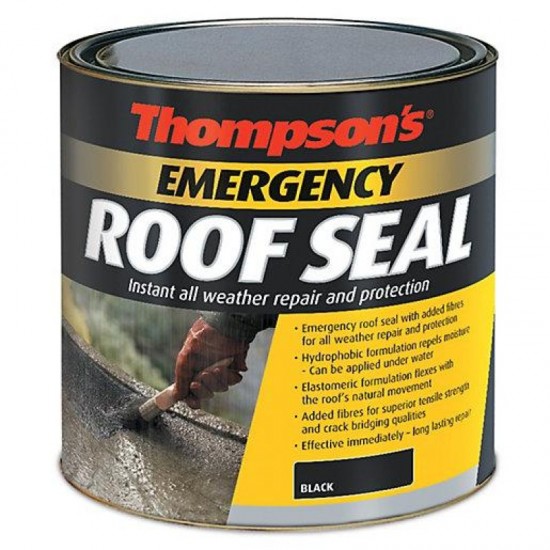 Thompson's Emergency Roof Seal - Black - 1L