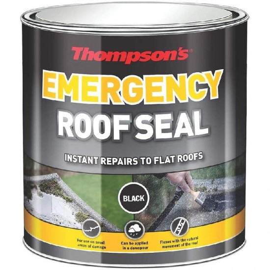 Thompson's Emergency Roof Seal - Black - 1L