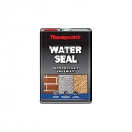 Thompsons Water Seal - 5L