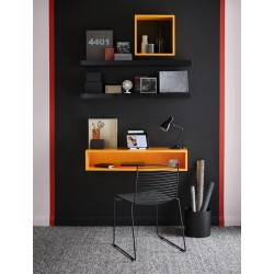 Crown Feature Wall Matt - Rebel - 1.25L