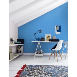 Crown Feature Wall Matt - Peekaboo Blue - 1.25L