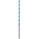 Bosch 10mm x 250mm Multi-Construction Drill Bit