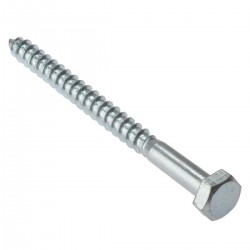 Coach Screws M10x 100mm
