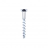 Coach Screws M10x 100mm