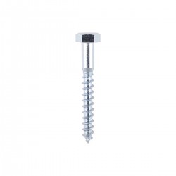 Coach Screws M10x 100mm