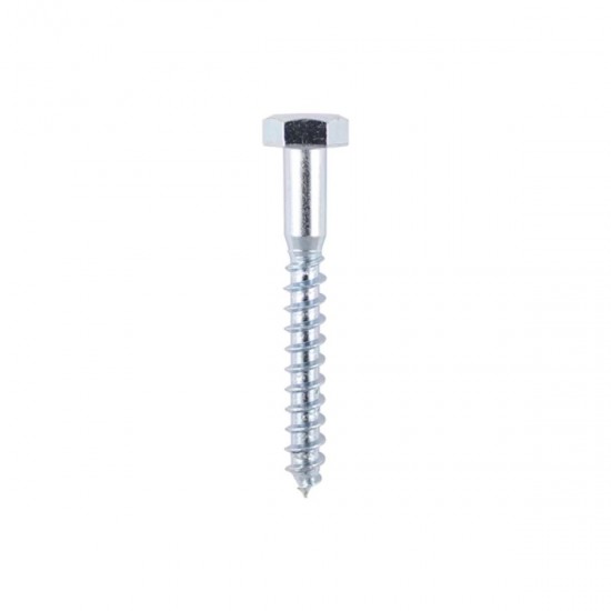 Coach Screws M10x 100mm