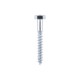 Coach Screws M10x 100mm