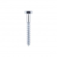 Coach Screws M10x 150mm