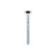 Coach Screws M10x 150mm